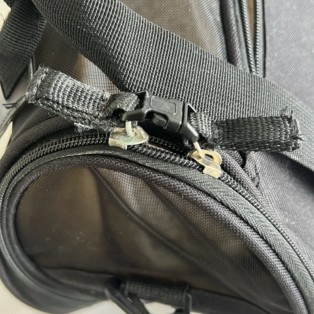 Bergan doggie travel bag.  Small.